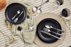 Magani - Zilveren Bestekset - Roestvrij Staal - 70-delig - Voor Acht Personen - PVD Coating 11 Magani - Zilveren Bestekset - Roestvrij Staal - 70-delig - Voor Acht Personen - PVD Coating -AMEFA Winkel 1200x799 32